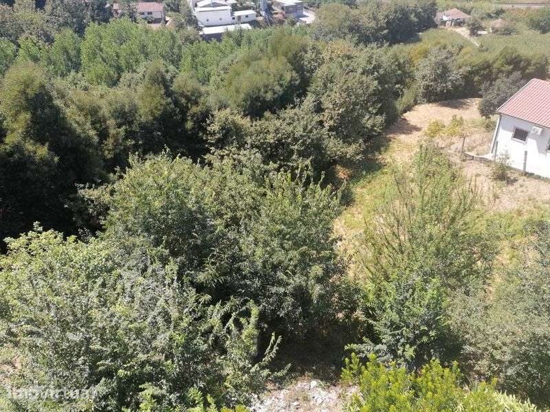 Terreno em Penafiel, Bustelo - Grande imagem: 2/4