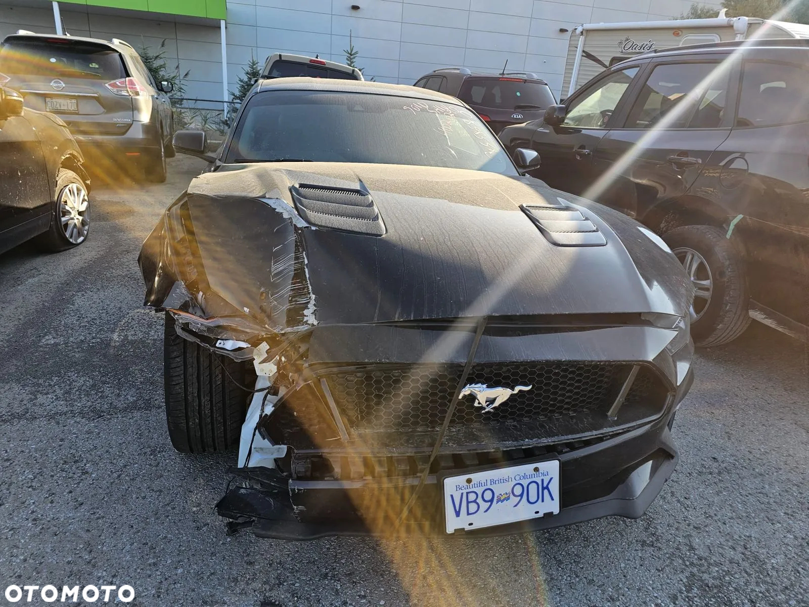 Ford Mustang - 6