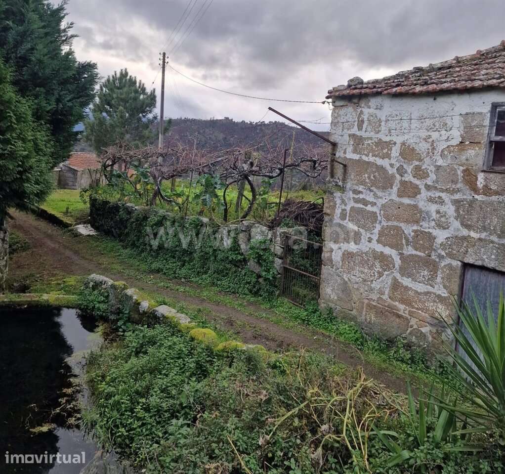 Moradia T1 / Baião, Santa Cruz do Douro e São Tomé de Covelas - Grande imagem: 5/7