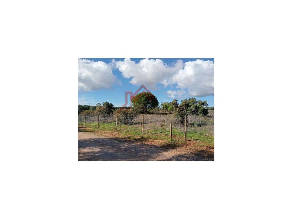 Terreno Rústico - 25.000 m² em Lagos, com Ligações, Acessos e Local... - Grande imagem: 4/10