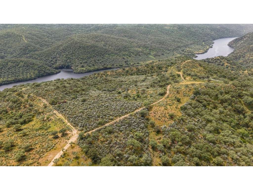 Herdade com acesso direto ao Rio Tejo Parque Natural do Tejo Intern... - Grande imagem: 3/15