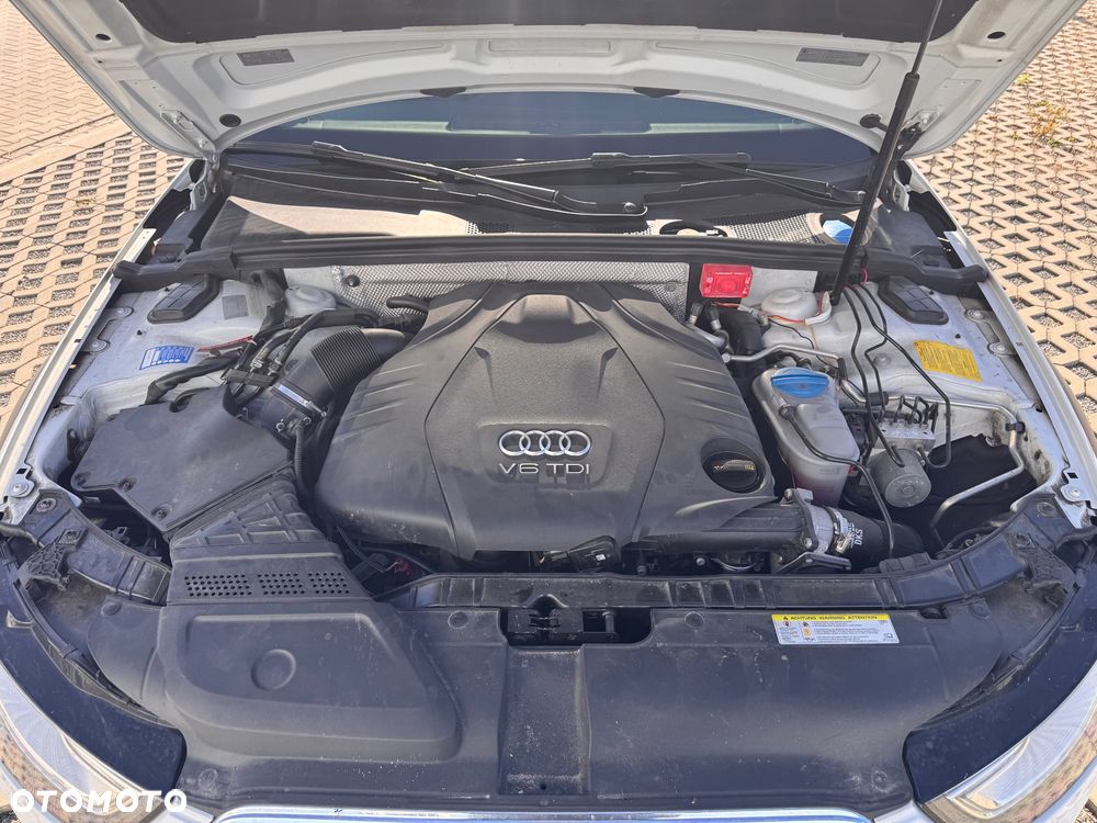 Audi A4 Allroad 3.0 TDI DPF S tronic - 24