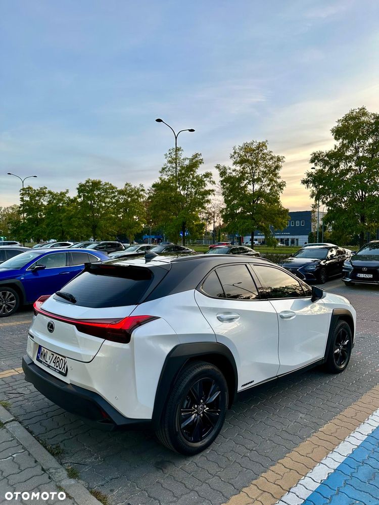 Lexus UX 250h - 10