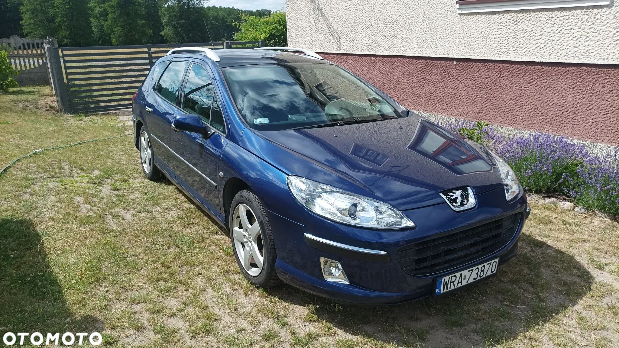 Peugeot 407 SW 115 - 1