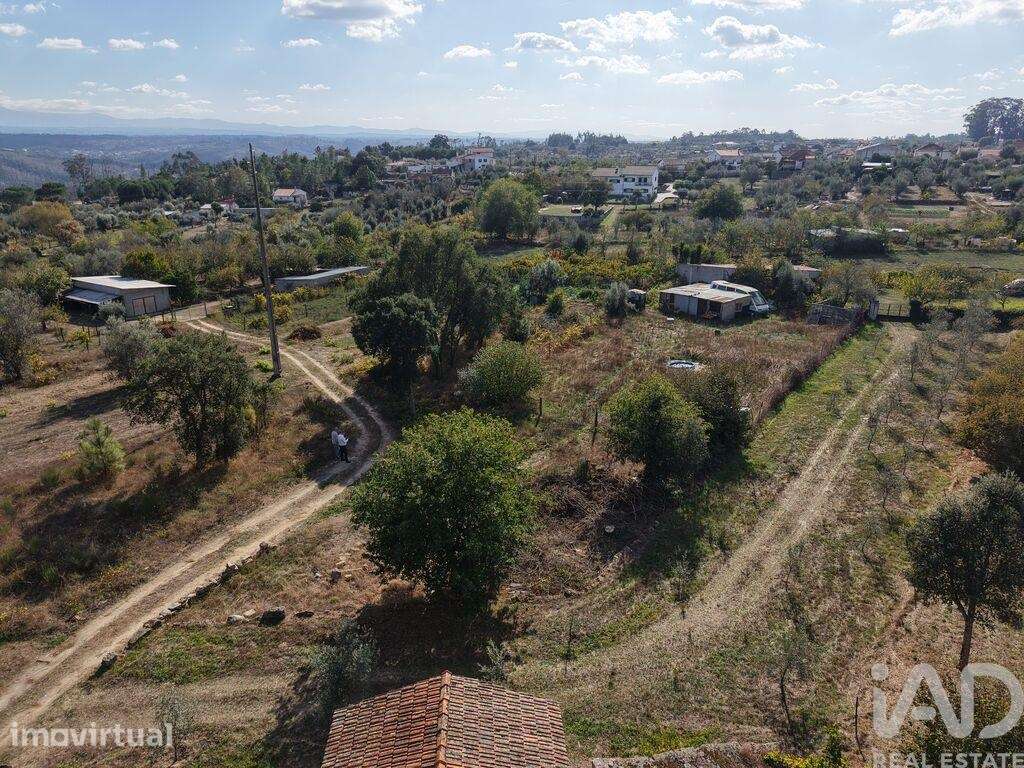 Terreno Agrícola em Canas de Senhorim - Grande imagem: 2/10
