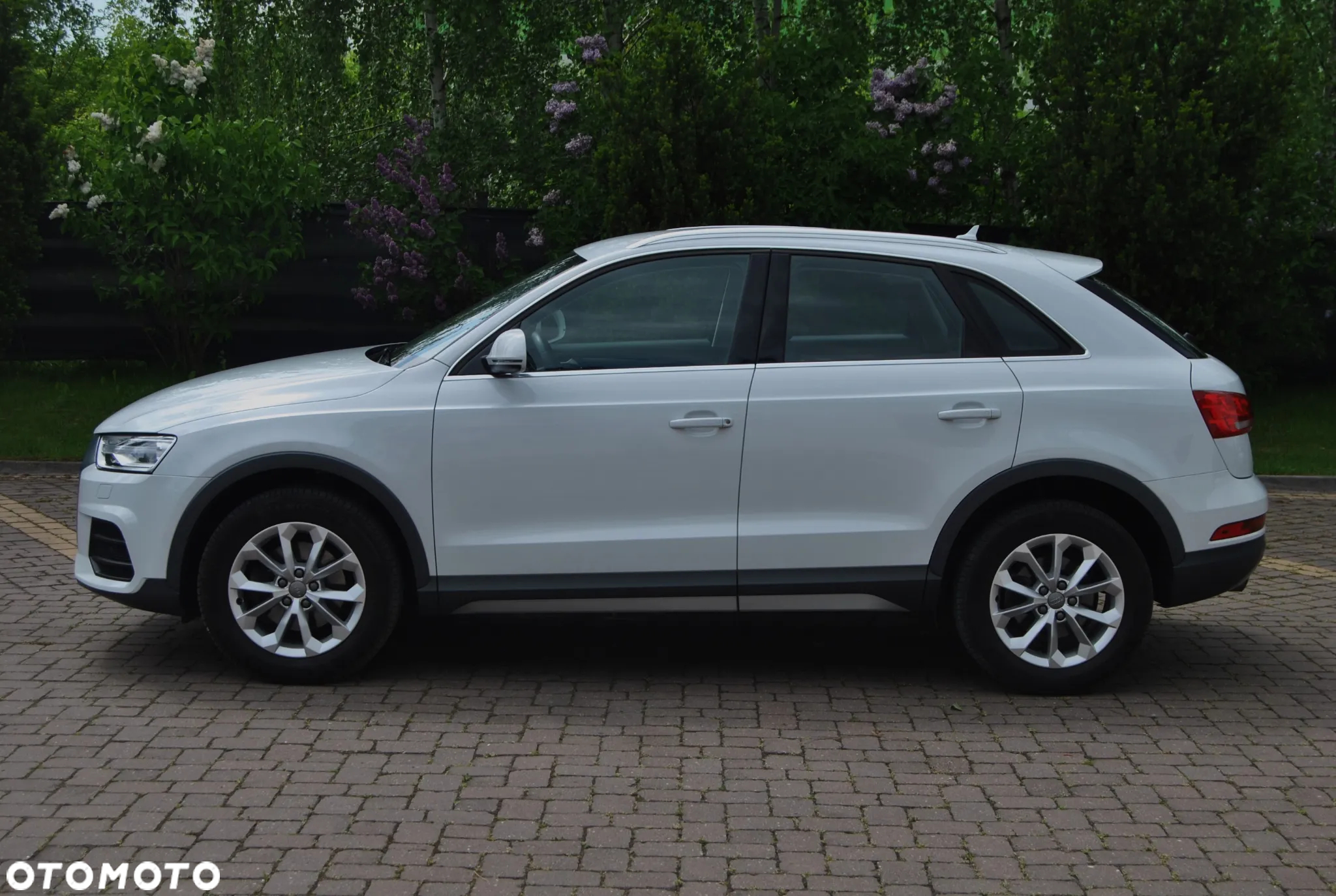 Audi Q3 2.0 TDI Design - 17