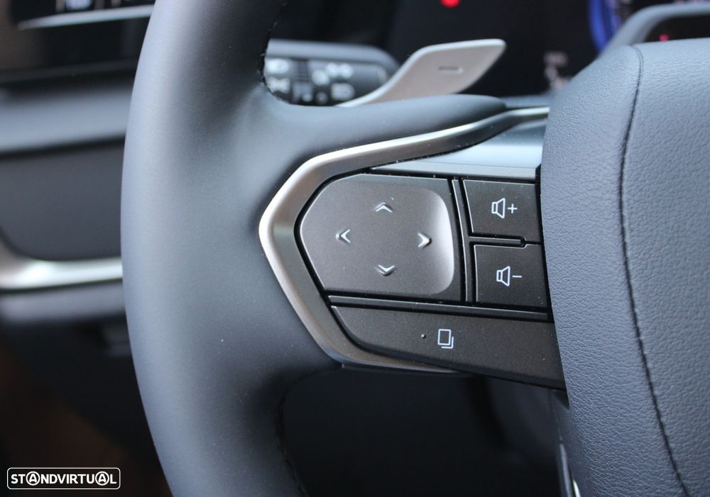 Lexus rz-300e Premium - 23