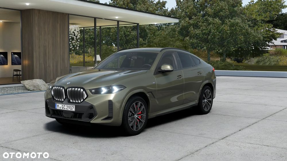 BMW X6 - 1
