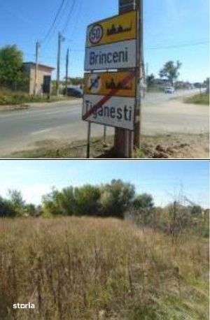 Teren Branceni, ID: R2942560 - Imagine principală: 5/9
