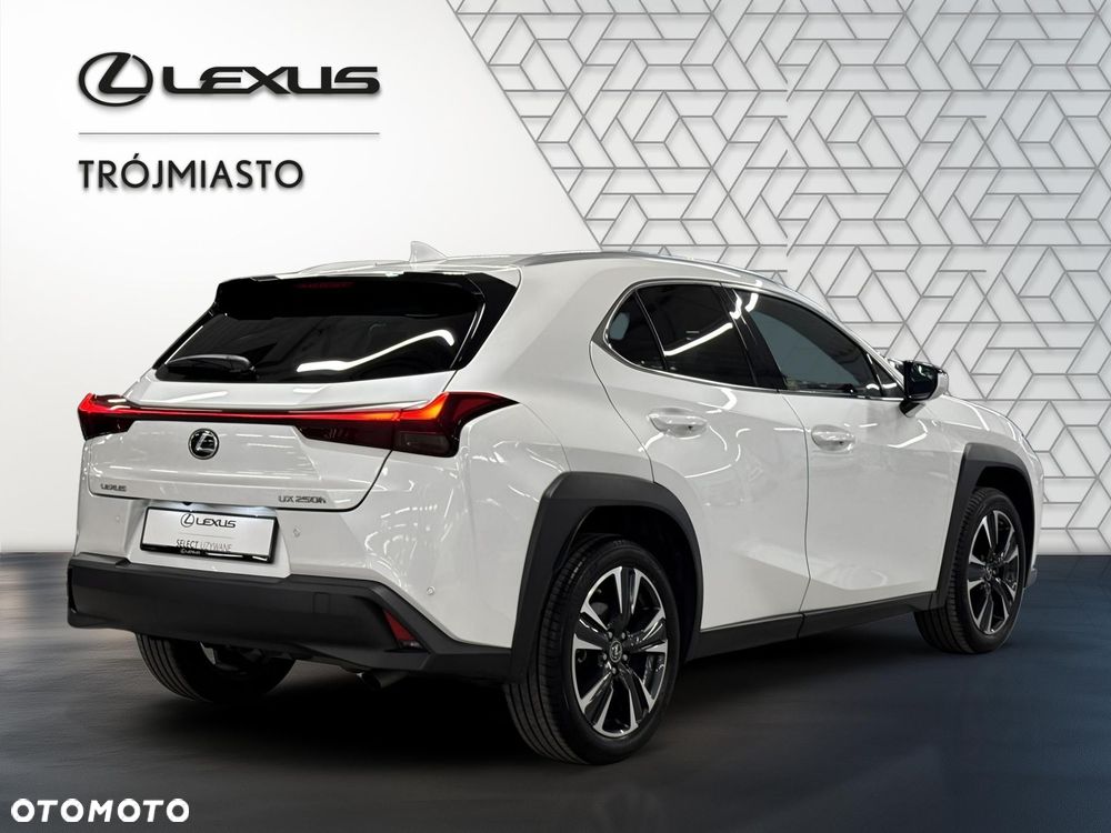 Lexus UX 250h GPF Business 2WD - 6