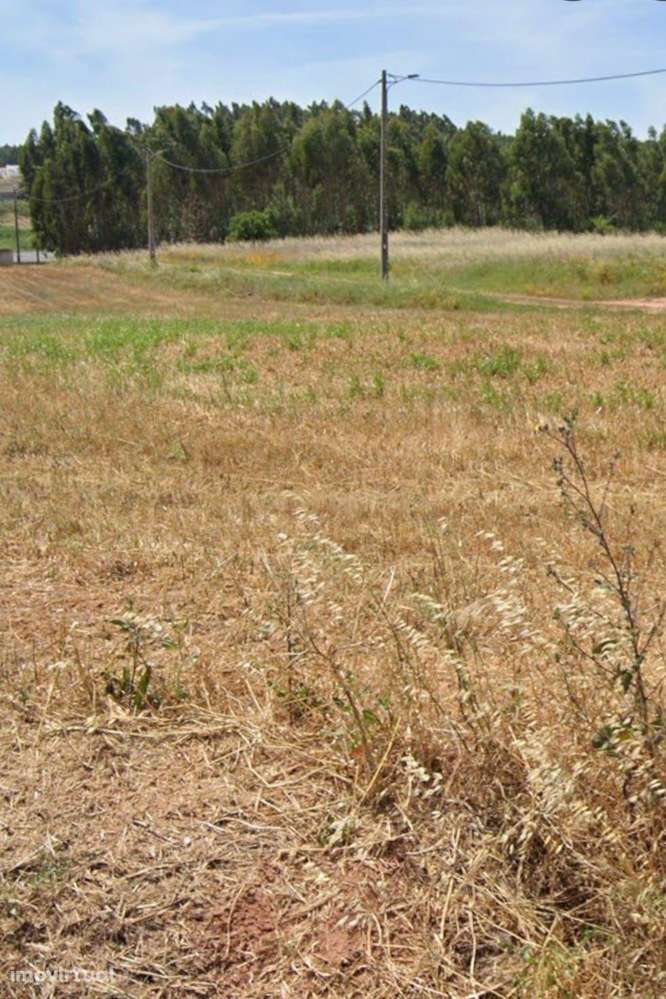 Excelente oportunidade de investimento em Torres Vedras - Grande imagem: 2/3