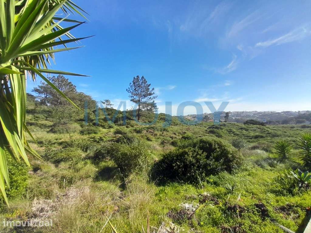 Terreno na Ericeira - Grande imagem: 3/11