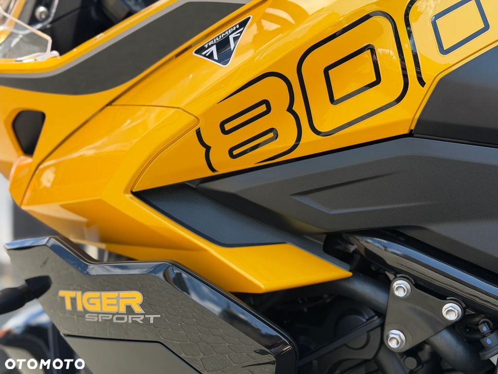 Triumph Tiger - 10