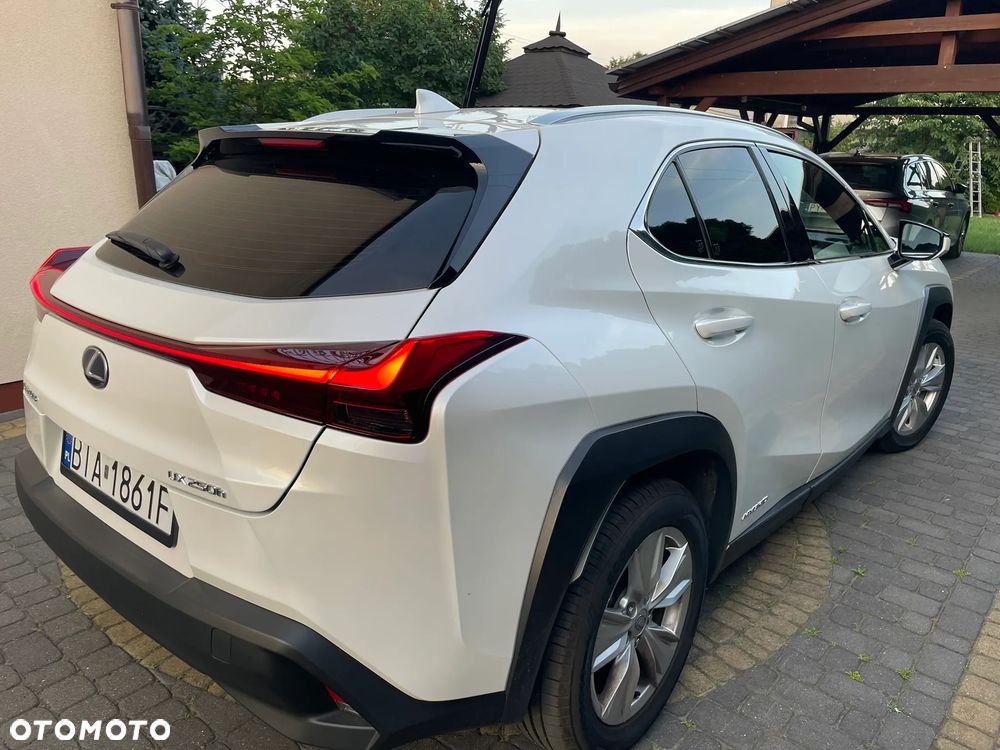 Lexus UX 250h F Sport 2WD - 4