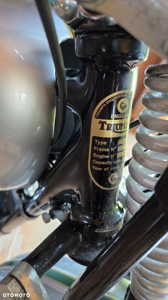 Triumph Inny - 5