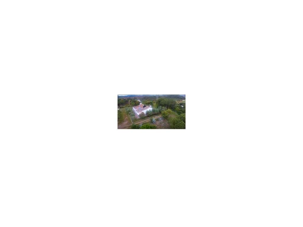 Terreno de 80ha com potencial construtivo - São Bartolomeu de Messines - Grande imagem: 5/5