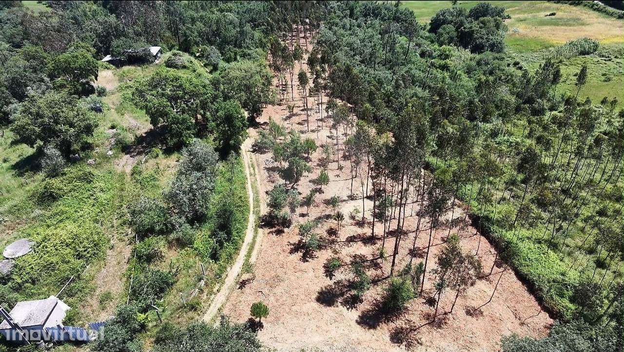 Terreno  para venda - Grande imagem: 5/20