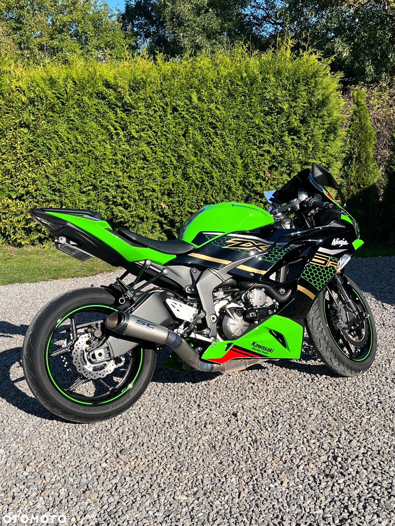 Kawasaki ZXR - 10