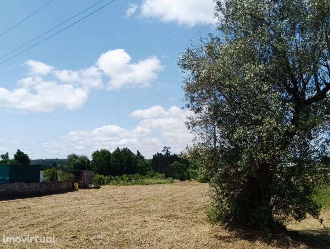 Terreno  para venda - Grande imagem: 5/14