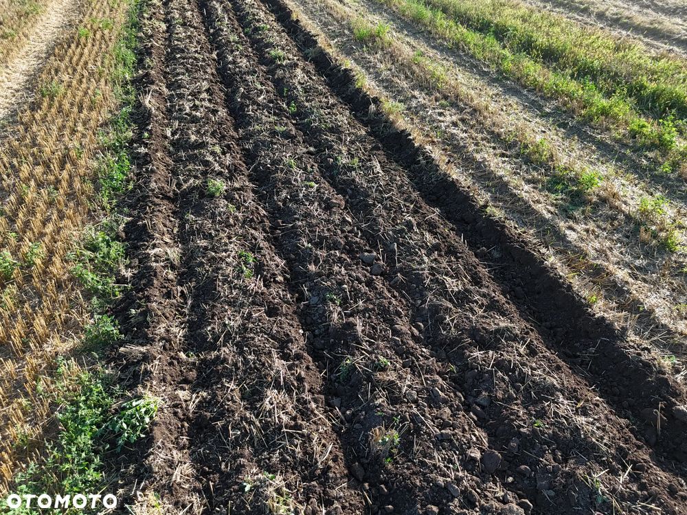 Tech-Project Pług Dłutowy T1 - 2