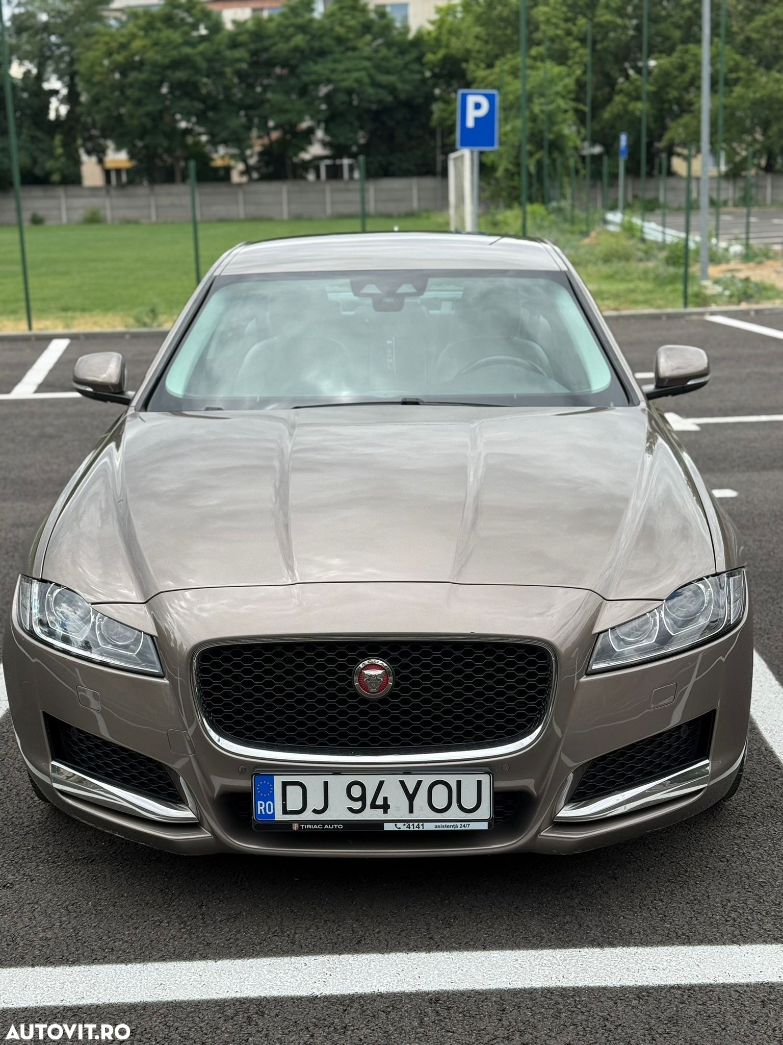 Jaguar XF 20d RWD Pure - 2