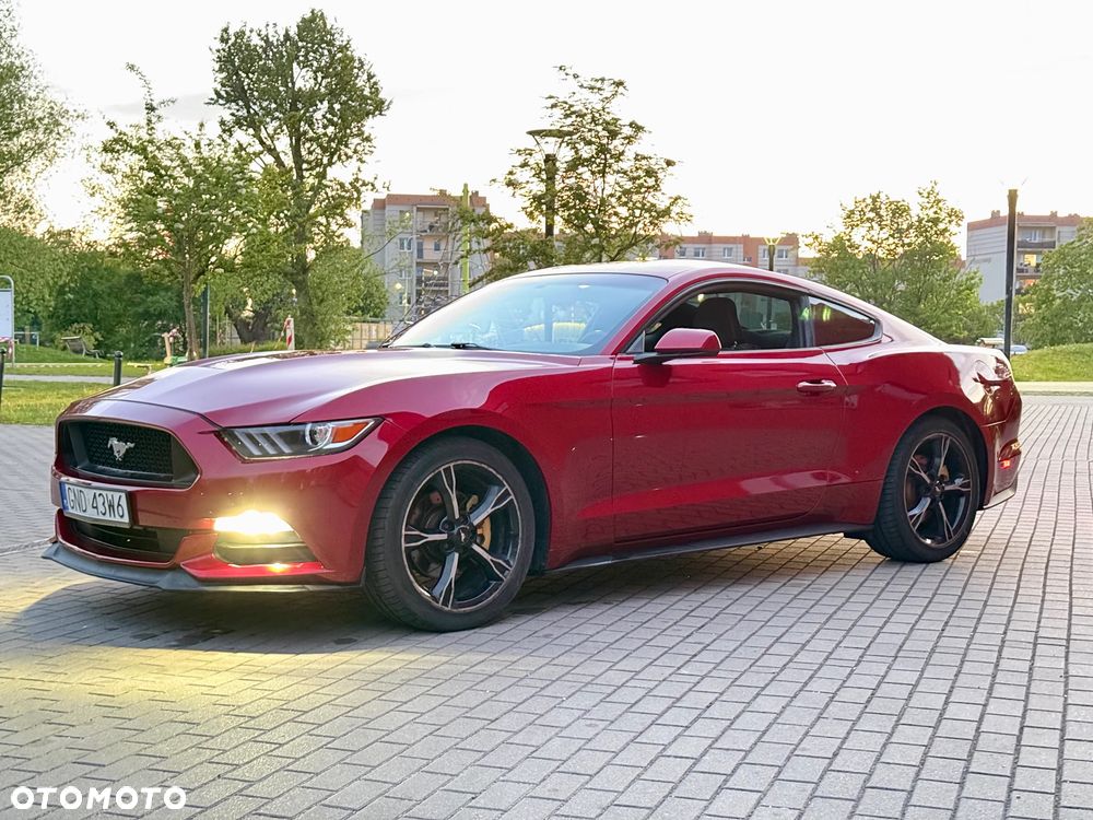 Ford Mustang - 20