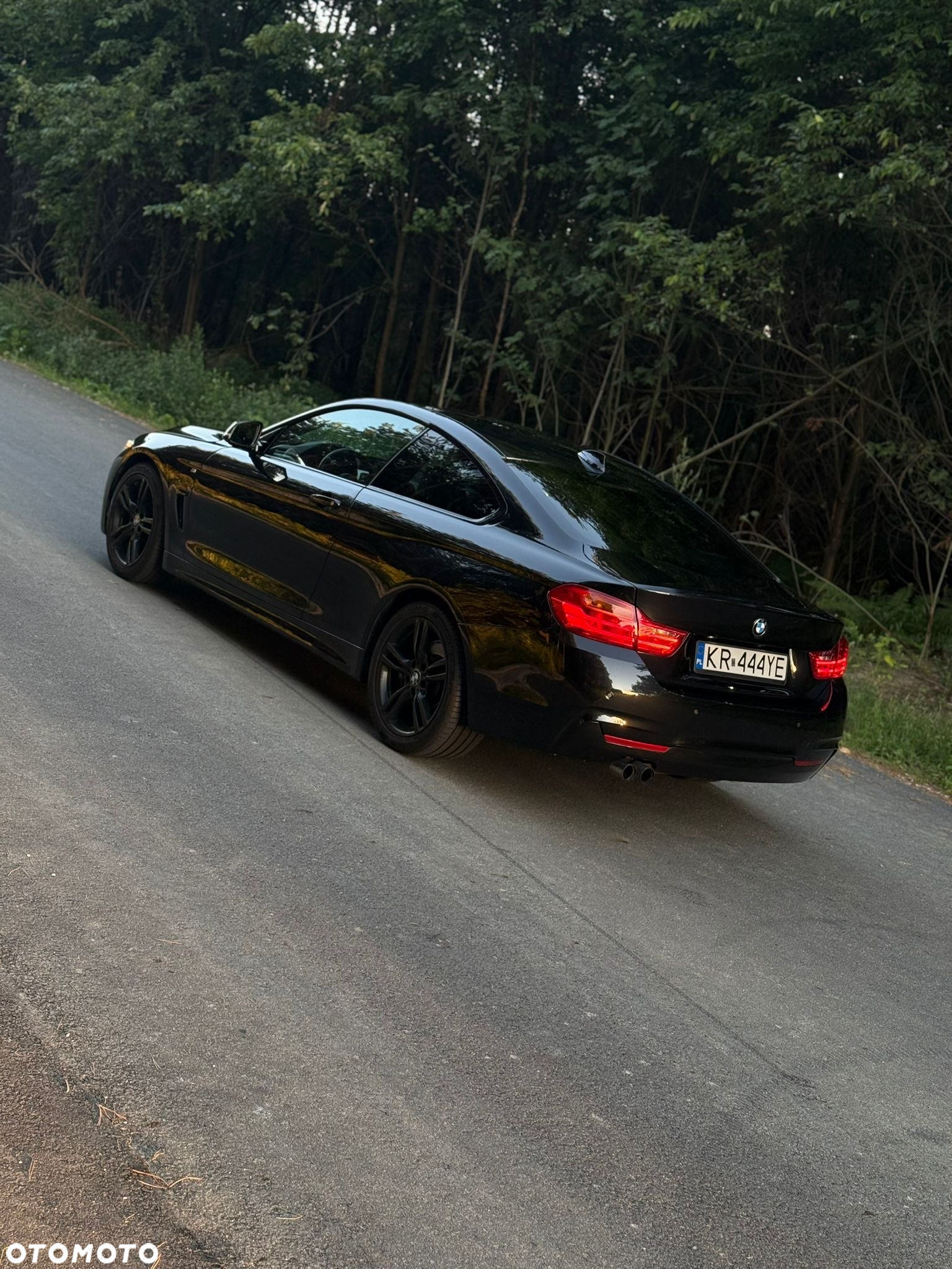 BMW Seria 4 - 2