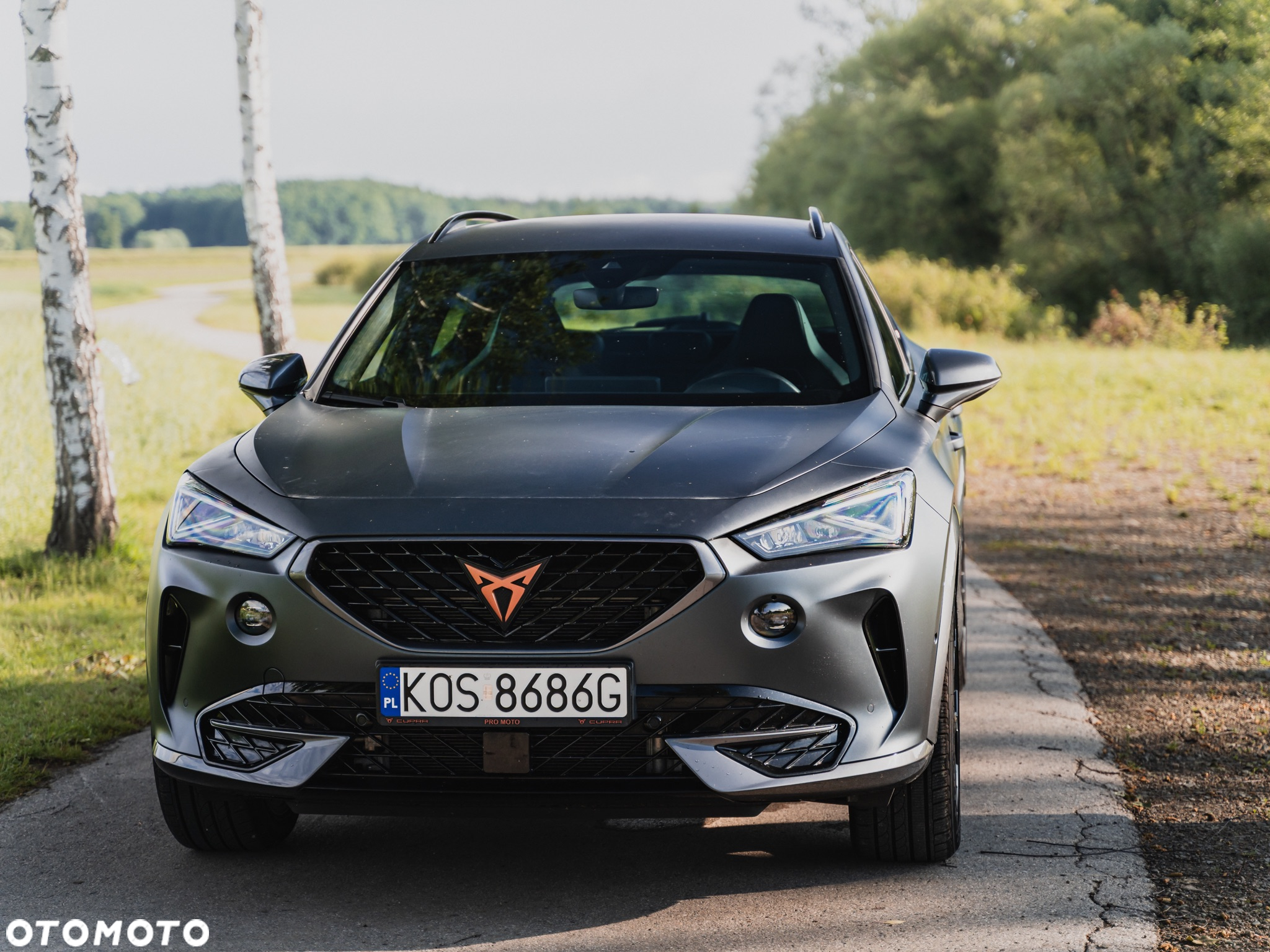 Cupra Formentor VZ 2.0 TSI 4Drive DSG - 8