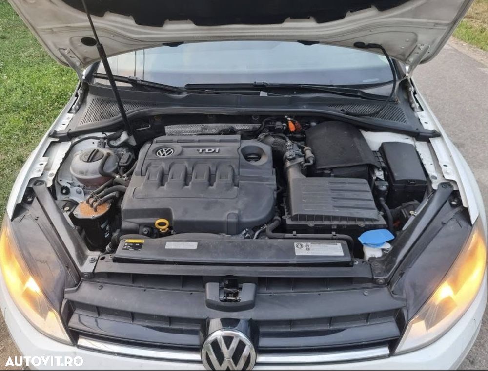 Volkswagen Golf 1.6 TDI DPF BlueMotion - 5