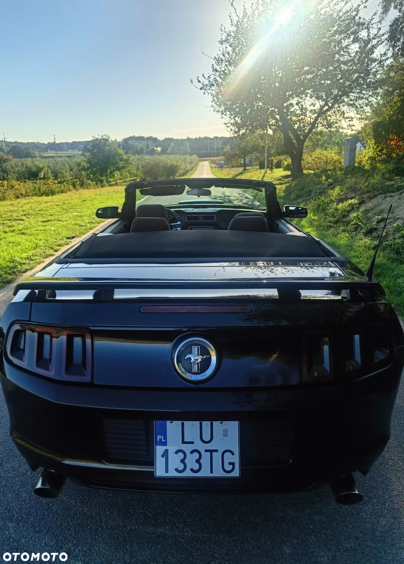 Ford Mustang 3.7 V6 - 5