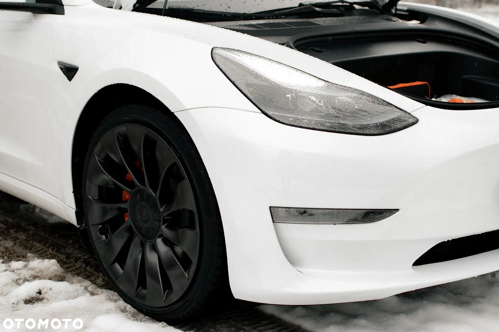 Tesla Model 3 Performance AWD - 18
