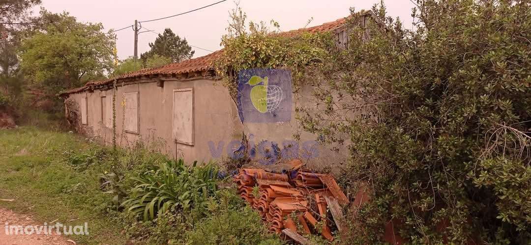 Antiga Carpintaria na Localidade da Cumeira da Cruz - Alvorninha! - Grande imagem: 5/13