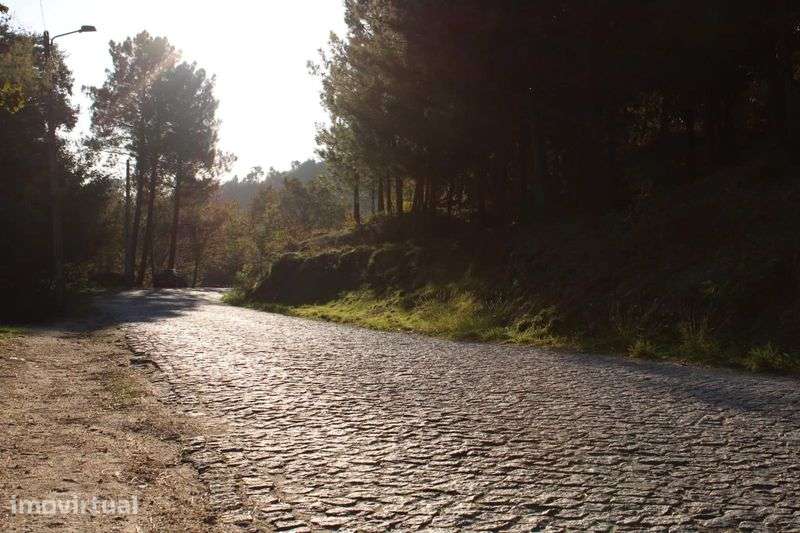 Terreno Grilo Baião - Grande imagem: 2/12