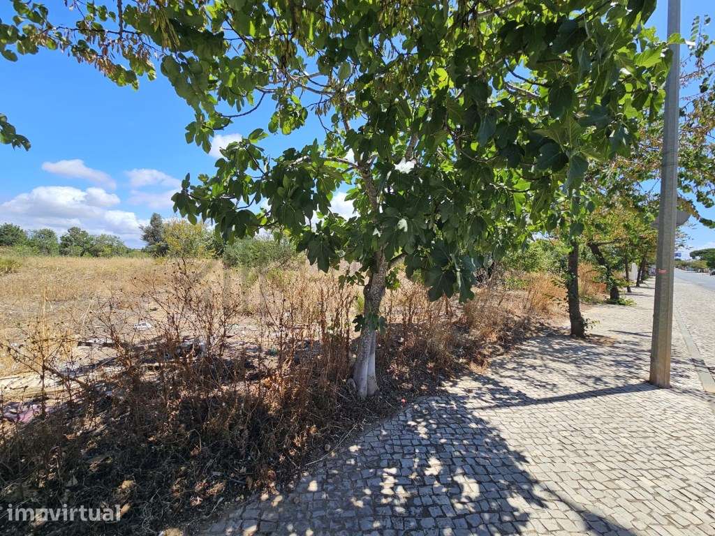 Terreno para Construção em Vale Serves, Ferreiras - Albufeira | 9.9... - Grande imagem: 4/17
