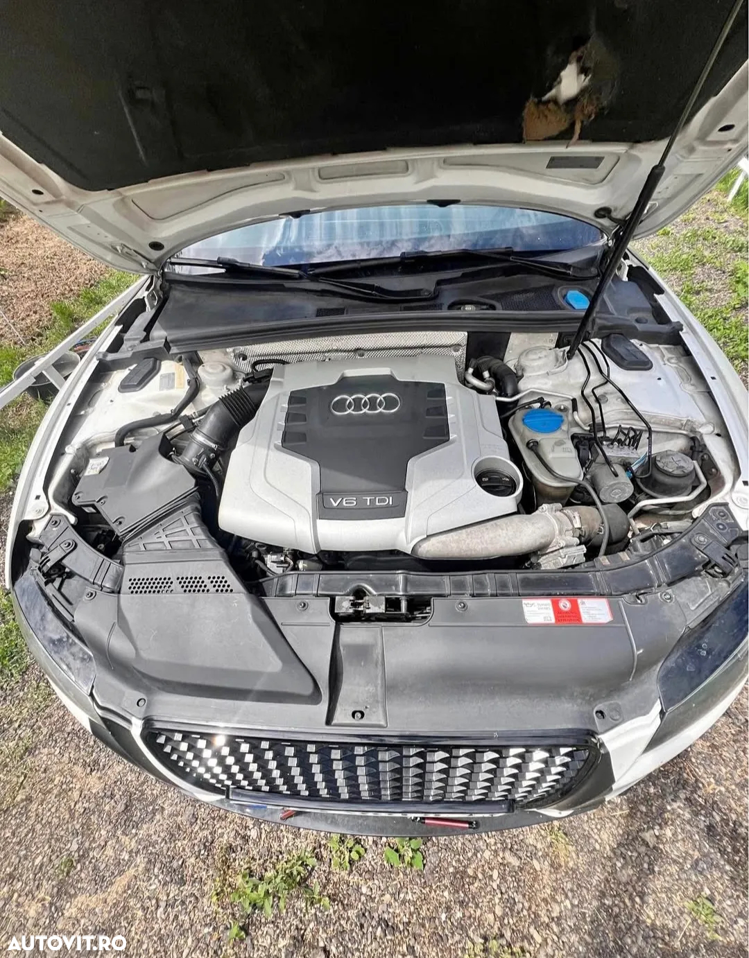 Audi A5 Coupe 2.7 TDI DPF - 2