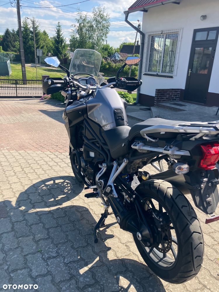 Triumph Tiger - 9