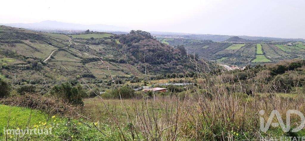 Terreno Agrícola em Igreja Nova e Cheleiros - Grande imagem: 5/30