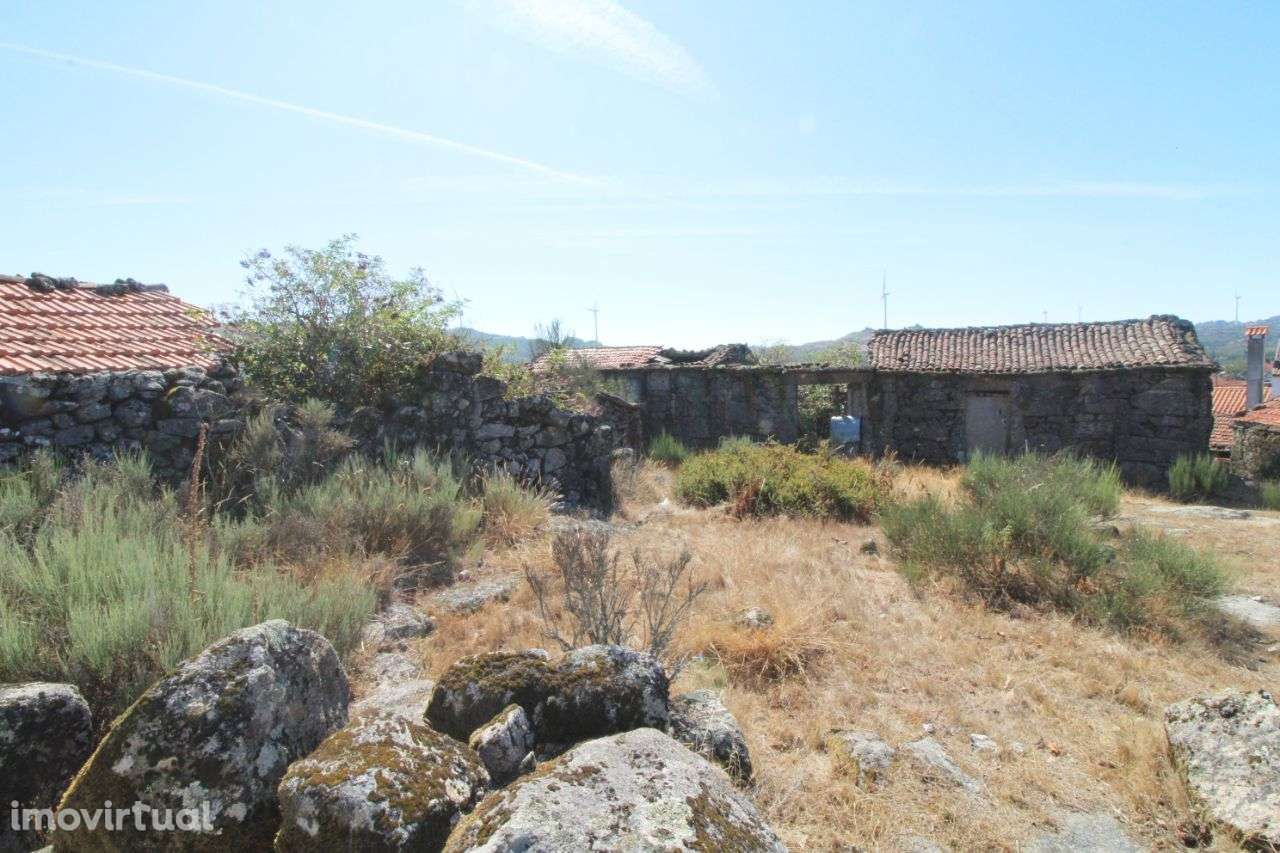 Moradia p/ reconstrução – Oliveira de Frades - Grande imagem: 3/26