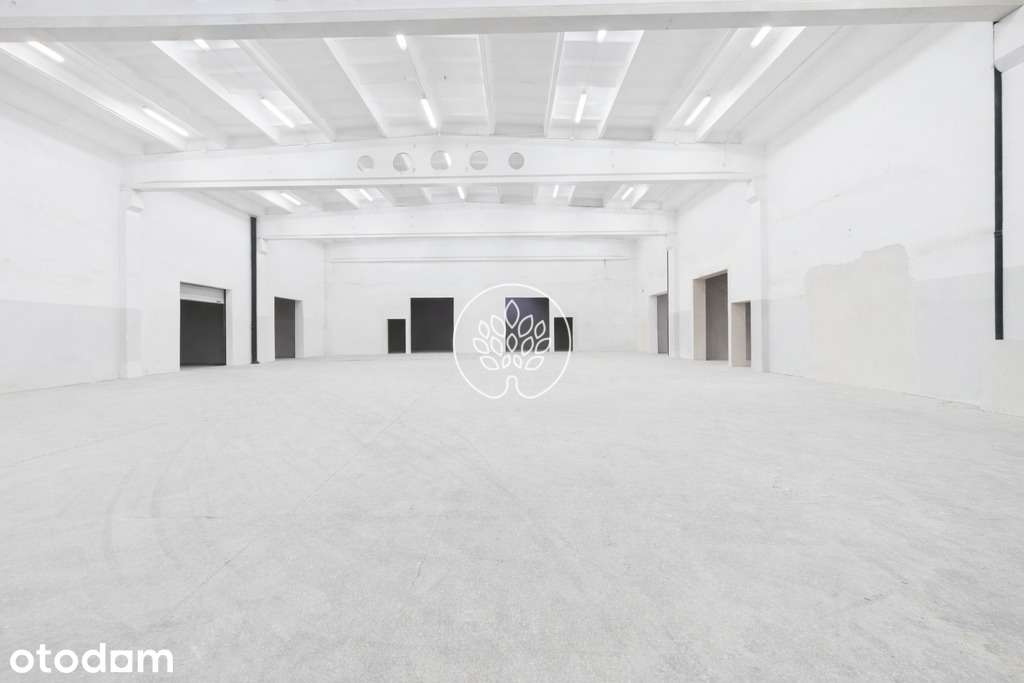 Wynajem hala 4 237,11 m² – od zaraz w Toruniu