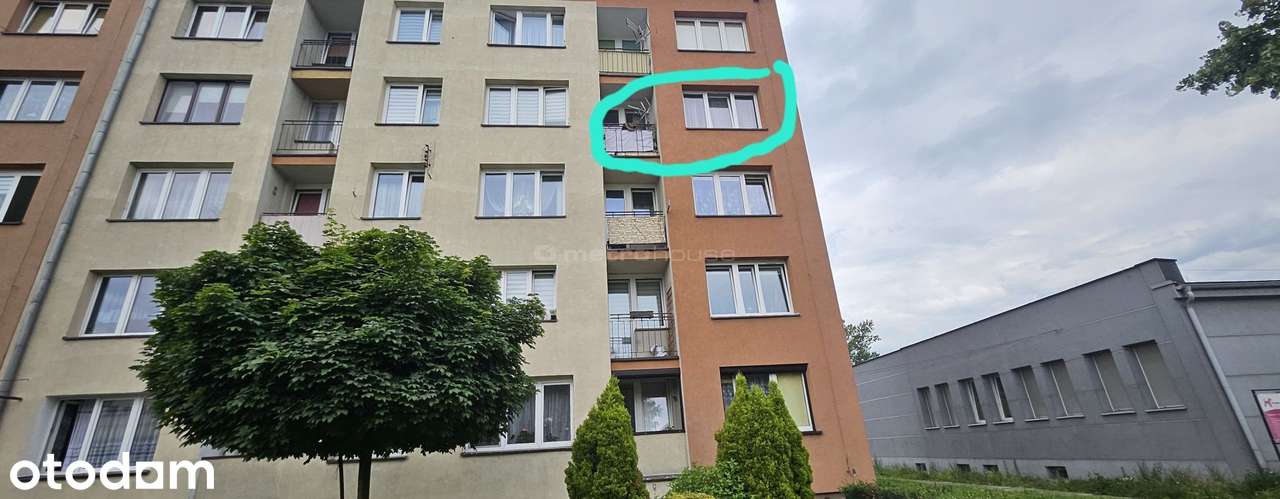 Mieszkanie 2 pok. do remontu obok parku Amelung