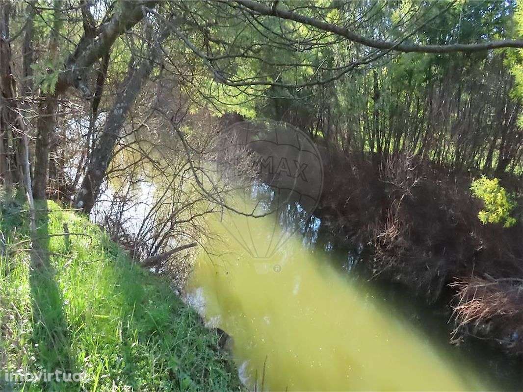 Quinta  para venda - Grande imagem: 4/48