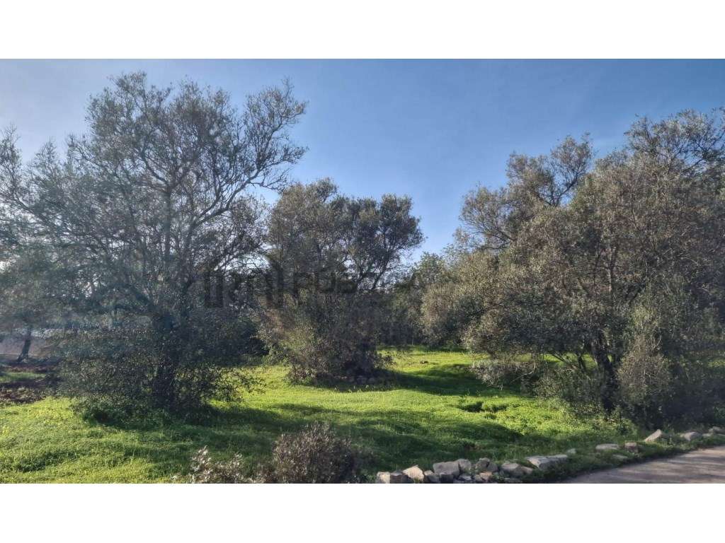 Terreno urbano para construção - São Brás de Alportel - Grande imagem: 5/17