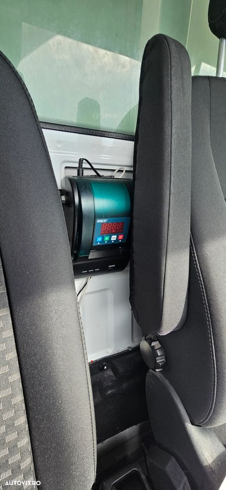 Ford Transit Frigorifica / Congelare / Punte dubla - 9