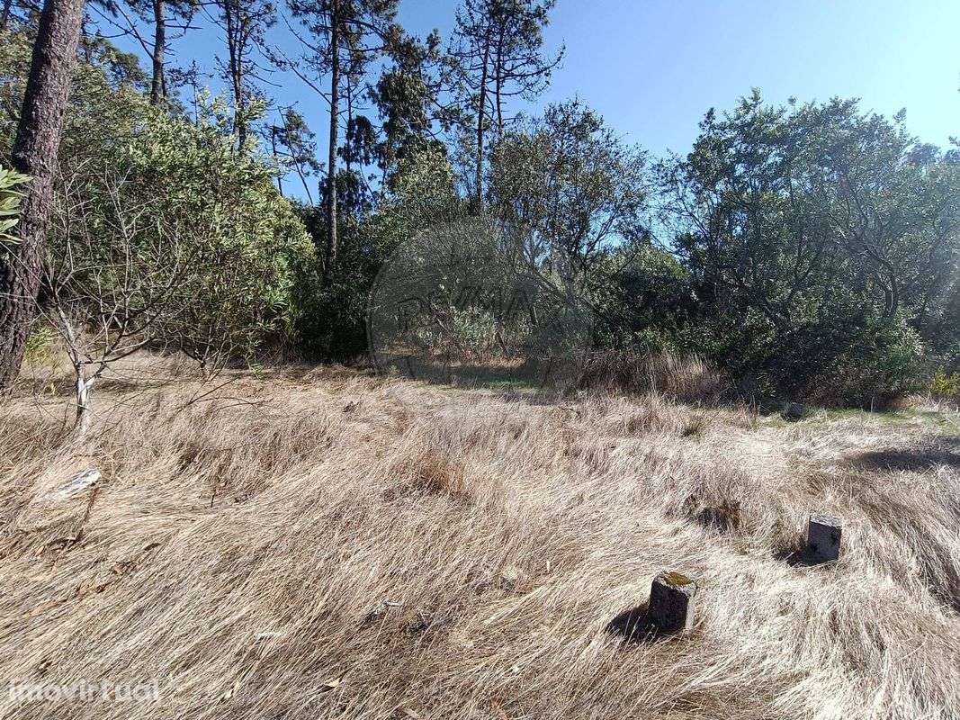 Terreno  para venda - Grande imagem: 5/5