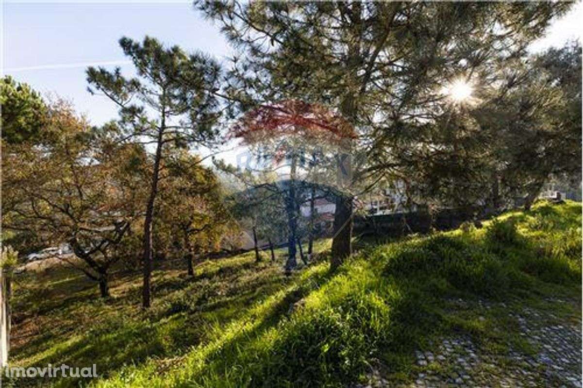 Terreno  para venda - Grande imagem: 4/12