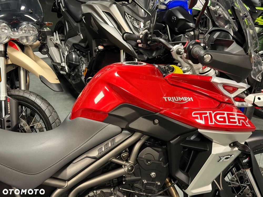 Triumph Tiger - 13