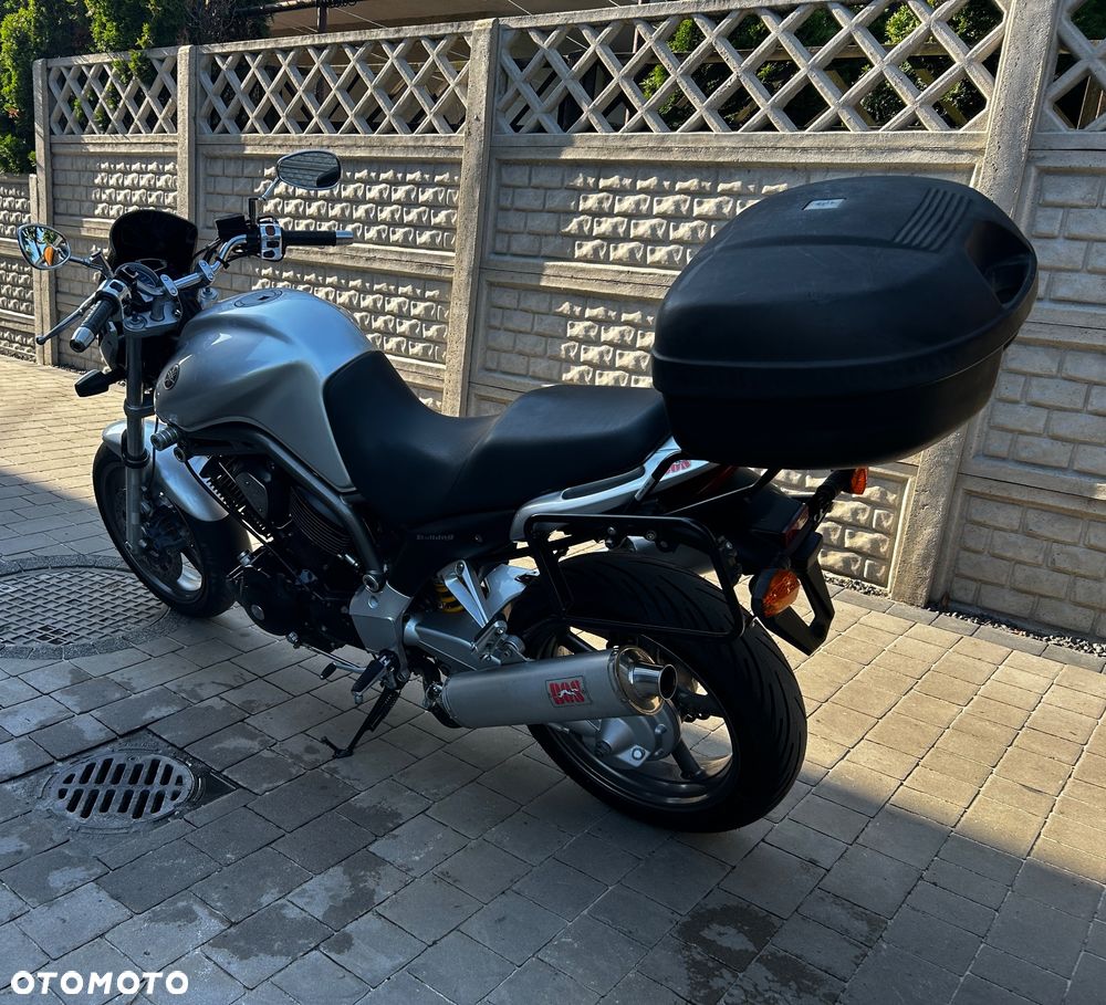 Yamaha Bulldog - 13