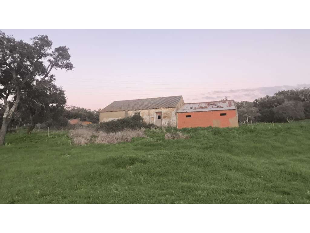 QUINTA (54.409m2) - Grande imagem: 3/14