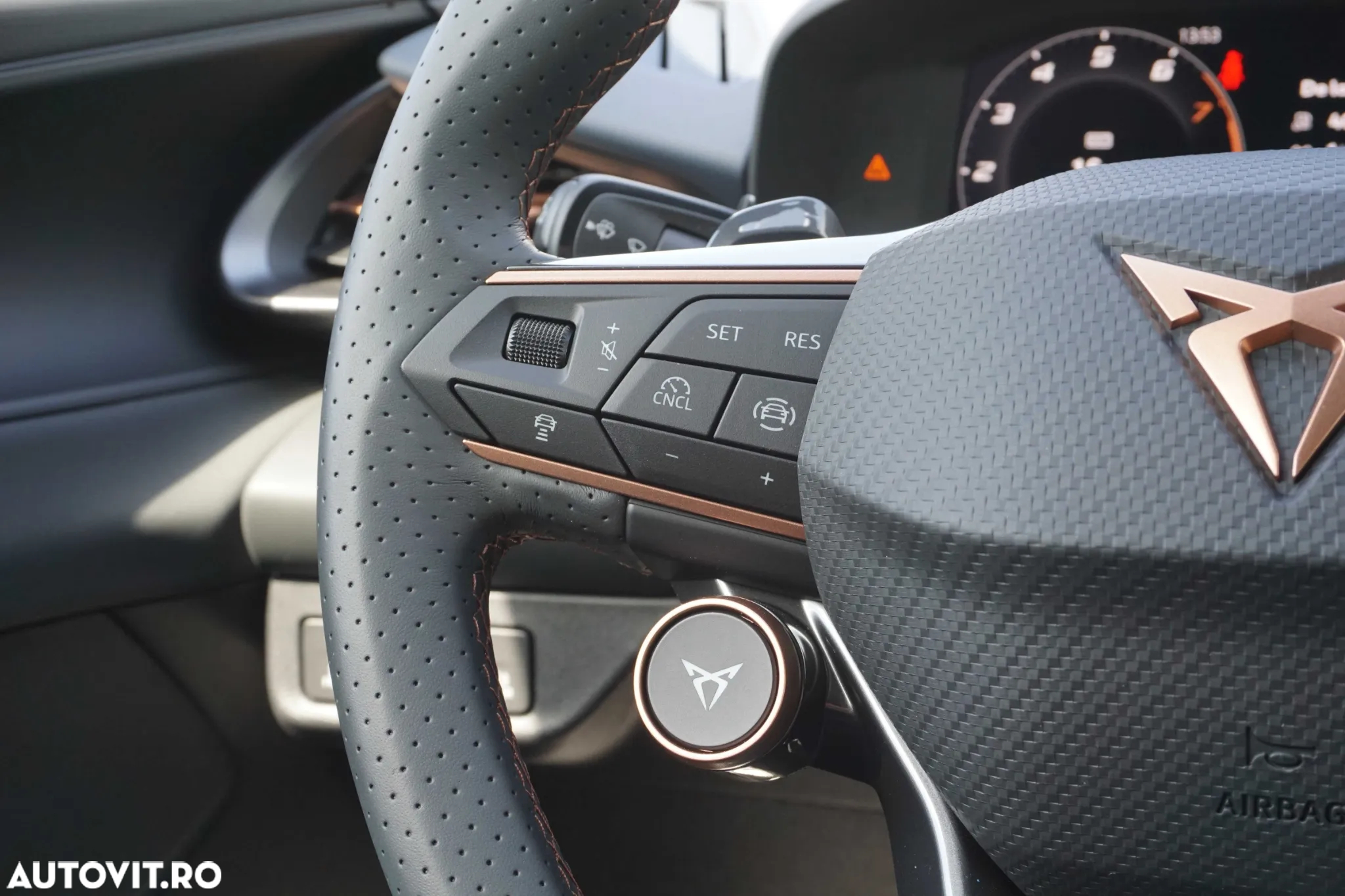 Cupra Terramar - 15
