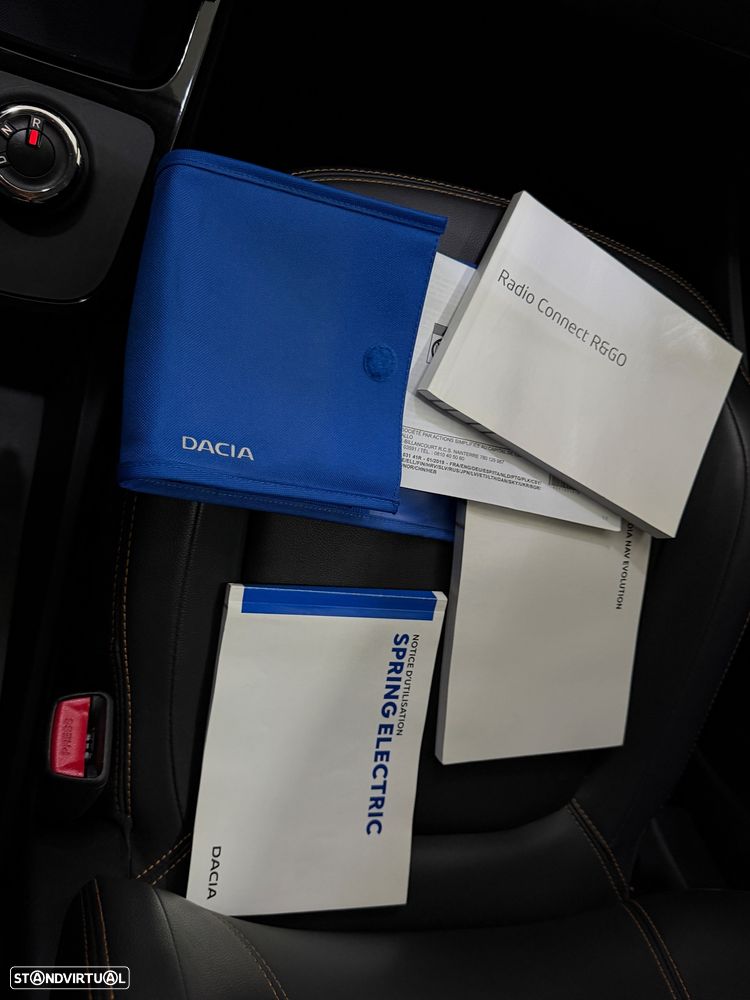 Dacia Spring - 29